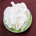 Low fat food top services carbohydrate prawn slices