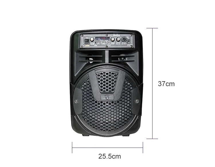 Hoxen 8 Inch Speaker Portable Mini Speaker DJ Speaker System Subwoofer Sound Box With LED Light - ANKUX.COM