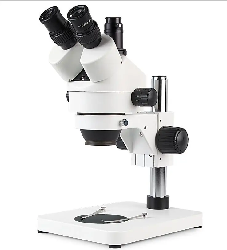 stereo microscope 2.jpg