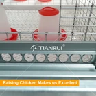 Cheap 1 Day Old A Type Baby Breeding Cage for Chicken