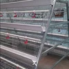 Poultry Farm In Malaysia Hot Sale Chicken Cage