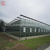 Custom design glass green house with hydroponic systems