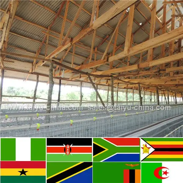 Comercio aseguramiento n° 1 silo de alimentación cómo iniciar una granja avícola negocio