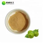 Packaging Customization Extract Powder Monk Fruit Excellent Sugar Alternatives 80% Mogrosides Monk Fruit Extract / Luo Han Guo Extract Mogroside V 20% Powder