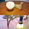 Modern Smart home Wood craft blown White Glass bottle LED Table Lamp for charger of iphone 6