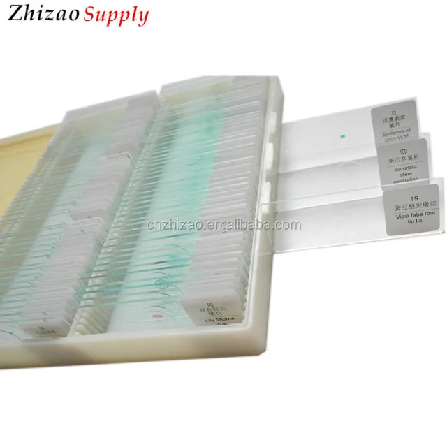 slides 100 kinds of plant specimen microscope prepared slides