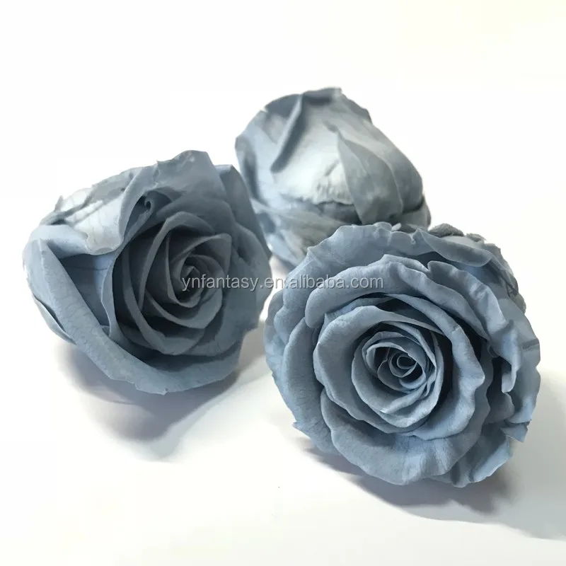 high quality natural fresh preserved real moss 500g stabilized