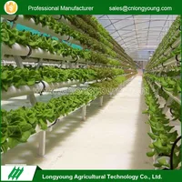 New Products Hot Galvanized Agricultural Multi