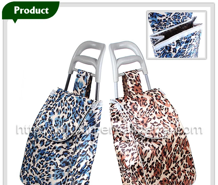 2015 electric sightseeing cart