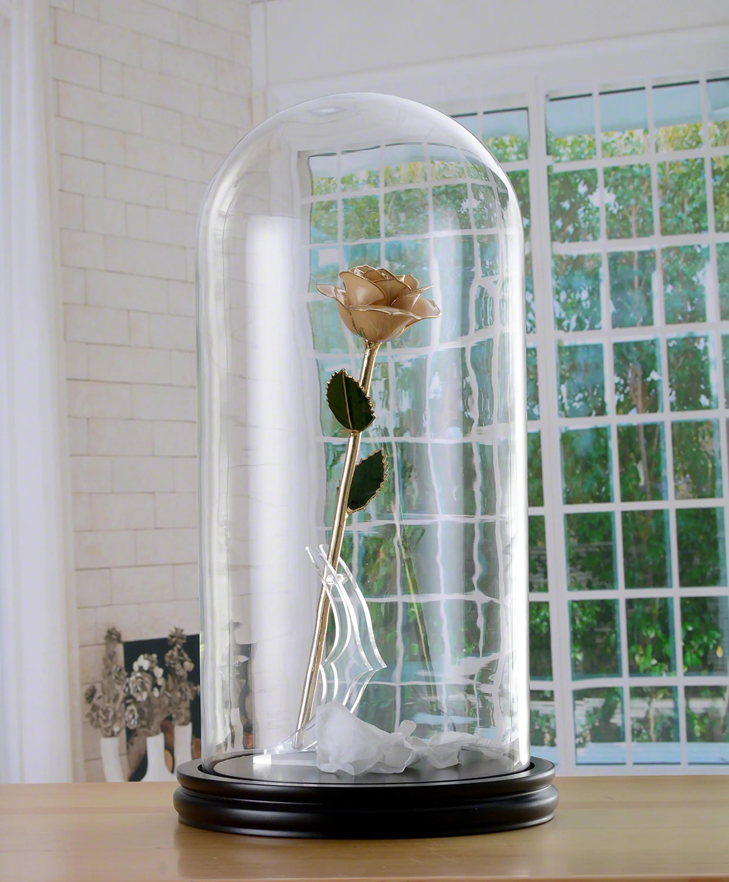 D20xH40cm-Glass-Dome-With-Wood-Base--Natural-White-24K-Plated-Gold-Preserved-Rose-.jpg