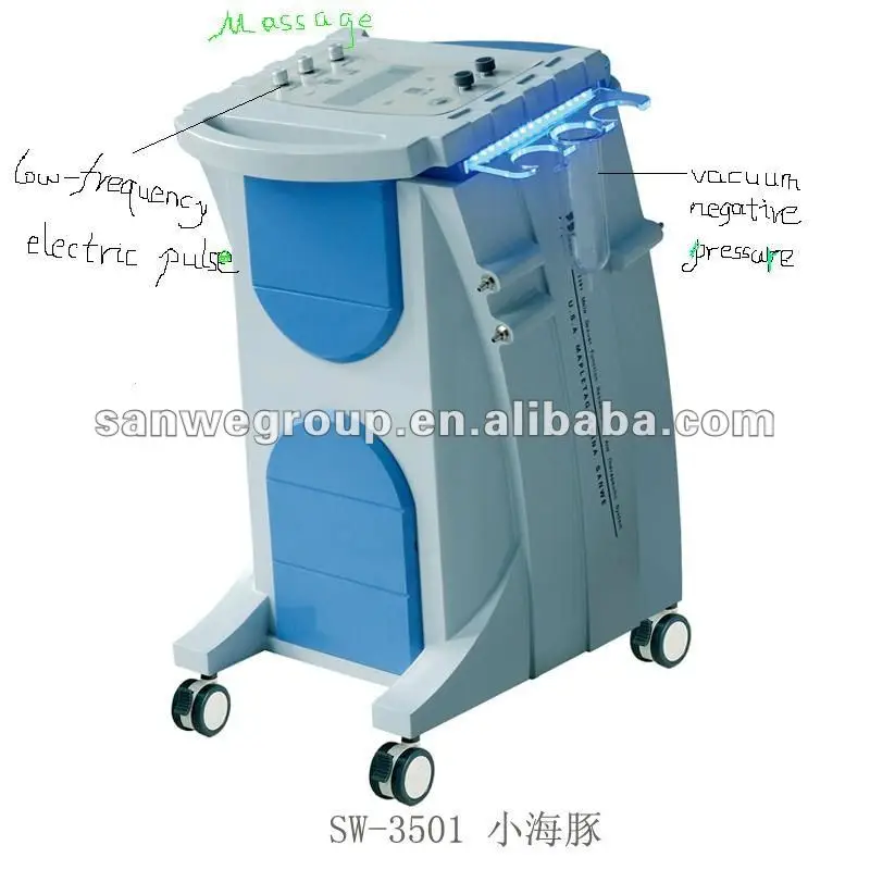SW-3501 Small dolphin.jpg