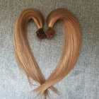 U Tip Extensions Human Hair Real Brazilian Keratin Pre Bonded Cold Fusion