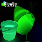 High quality low price environmental glow in the dark outdoor paint for brush