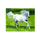 Framed Digital Picture Canvas Painting Black White Horse Paint by Numbers with Frame