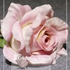 High quality artificial real touch rose flower large