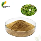 Organic Bacosides Bacopa Monniera Extract brahmi monnieri Bacopaside powder