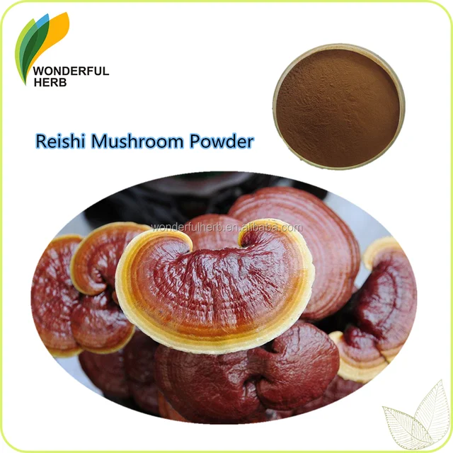 reishi mushroom extract ganoderma lucidum powder organic lingzhi