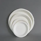 100% Biodegradable Compostable Disposable Paper Dishes