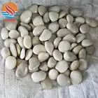 Stone Polished Pebbles Hot Sales High Polish Pebble Stone Top Quality Mix Color Pebble Stone