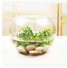 /product-detail/china-supplier-clear-round-shape-glass-fish-tank-aquarium-60831876075.html