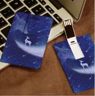 Promotion plastic usb flash card usb 2.0 flash drive