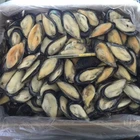 Frozen Half Shell Mussels