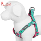 Wholesale Durable Nylon Webbing Dog Harness,with Stainless Double D-rings