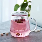 Heat Resistant Pyrex Glass Brewing Tea Cup With Infuser Strainer With Lid