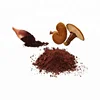 Natural and Pure Glossy Lingzhi Ganoderma Lucidum/Reishi Mushroom Plant Extract Powder 10% to 30% 50% Polysaccharides 20.1 30.1