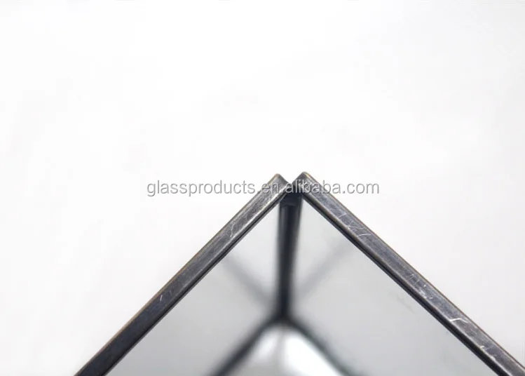 glass-terrarium.png