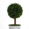 /product-detail/evergreen-indoor-decorative-freeze-dried-palm-trees-62130835372.html