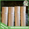 /product-detail/made-in-china-wood-broom-stick-with-italian-screw-export-to-saudi-arabia-60505513290.html