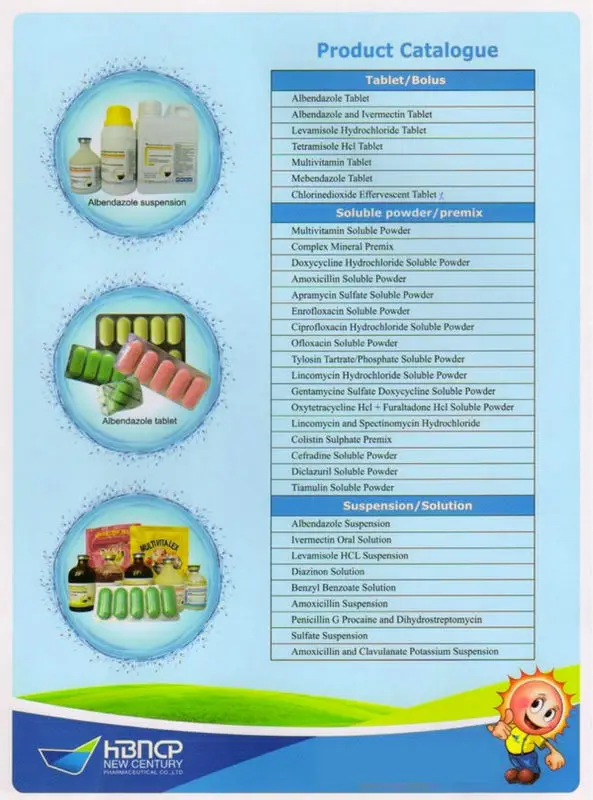 Catalogue2