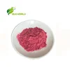 /product-detail/high-quality-cherry-fruit-powder-food-grade-freeze-dried-cherrry-powder-62168220167.html