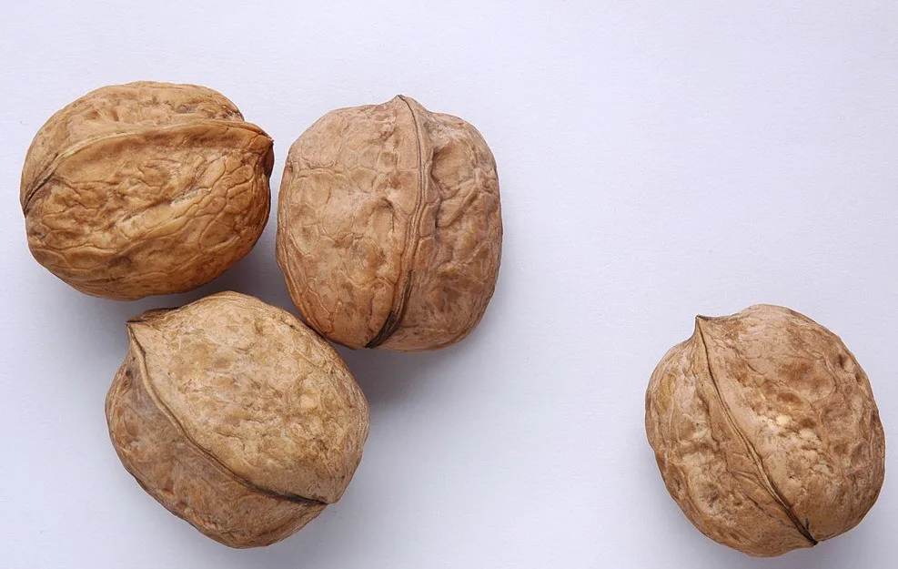 Factory Price Chinese Bulk Walnut In Shell Size Of 28mm Buy Walnut