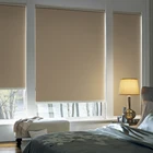 Modern Elegant Spring System Window Treatments Striped Entrance Roller Blinds Decorative Curtains
