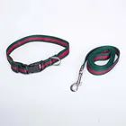 Amazon premium adjustable Personalized Pet Collar