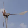 /product-detail/600w-24v-wind-turbine-generator-with-5-blades-and-low-start-wind-speed-60449348563.html