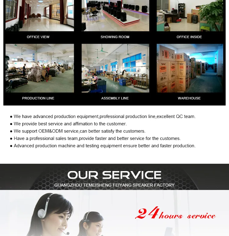 FEIYANG TEMEISHENG Newest private rechargeable trolley speaker 12inch for promotion - ANKUX.COM