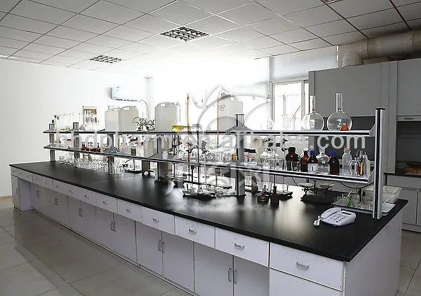 labs2.jpg