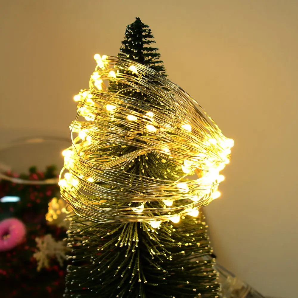1X1511518598_DSC_2764