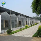 Lowe Cost multi-span film plastic greenhouse for flower, fruits, breeding cultivation