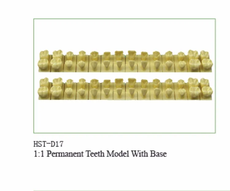 HTB1ESQLLpXXXXbKXFXXq6xXFXXXm