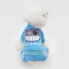Wholesale Pet Clothes Custom Decoration Dog Dress For Dogs