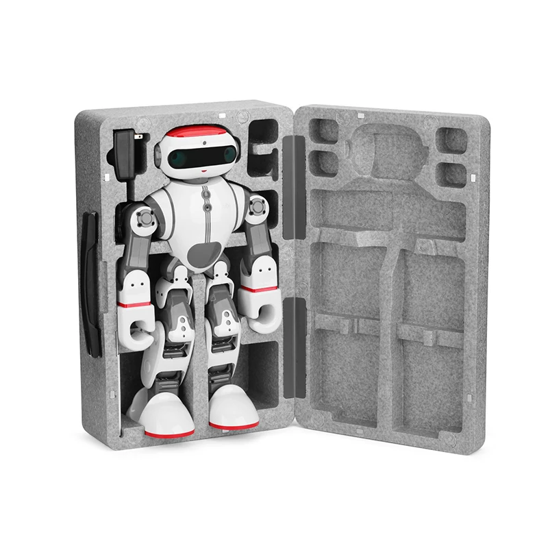 RB-13K250 Dobi Robot(5)