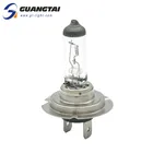 2019 Standard New Products High Quality 24V 55W Lamp H7 Halogen Bulb