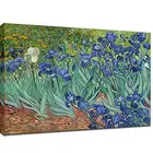 Irises Stretched and Framed Floral Giclee Canvas Oil Painting , Reproduction Flowers Oil Paintings By Van Gogh Famous