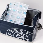 Wholesale good quality dry ice pack cold frozen cooler ice bag for wine