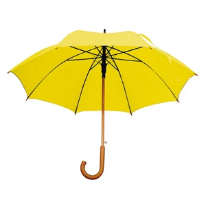 umbrella with wood handle