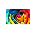Picture printing On Canvas,Unframed colorful rose flower wall art for Home Decor Living room